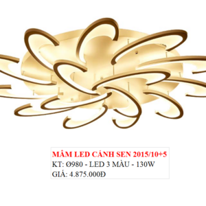 ỐP TRẦN 2015/10+5