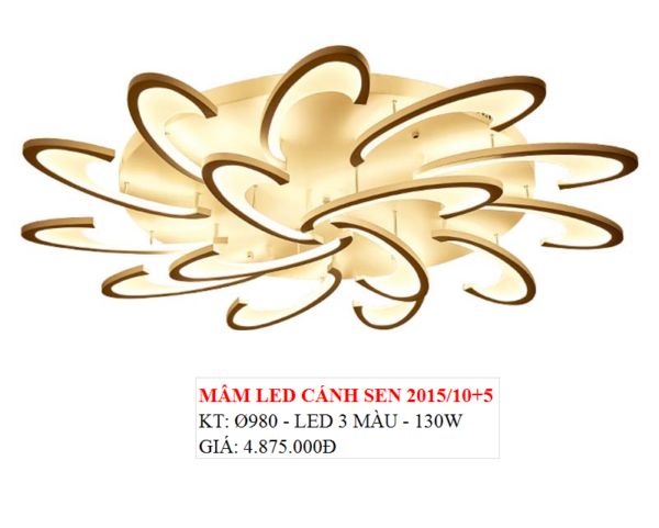 ỐP TRẦN 2015/10+5