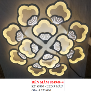 ỐP TRẦN ĐÁM MÂY 8249/8+4