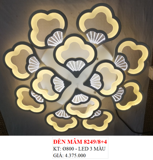 ỐP TRẦN ĐÁM MÂY 8249/8+4