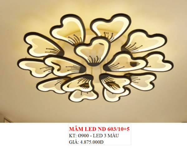 Ốp trần 603/10+5
